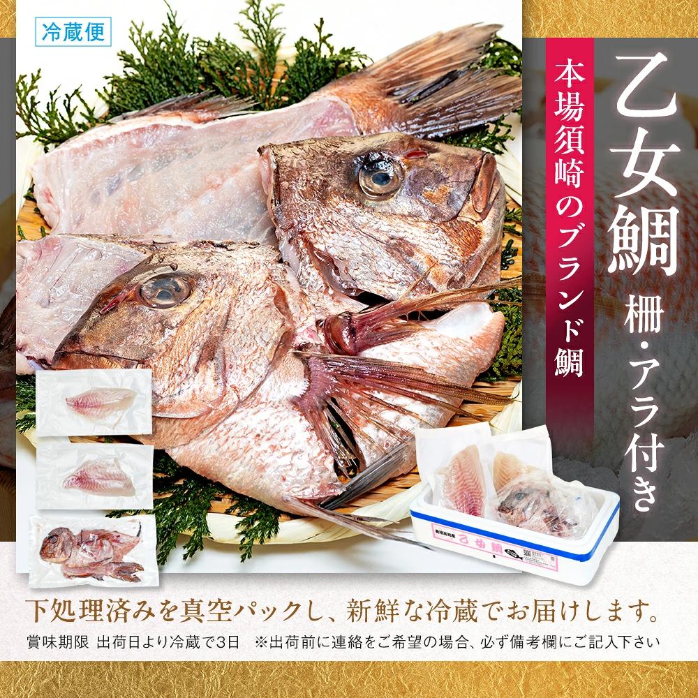 【 スピード配送 】 真鯛 刺身 用 柵 アラ付き 1~2尾 セット 本場須崎のブランド鯛 乙女鯛 産地直送 ( 新鮮 冷蔵 刺身 お刺し身 刺身 さしみ タイ 鯛 高級魚 鮮魚 海鮮 魚介 煮付